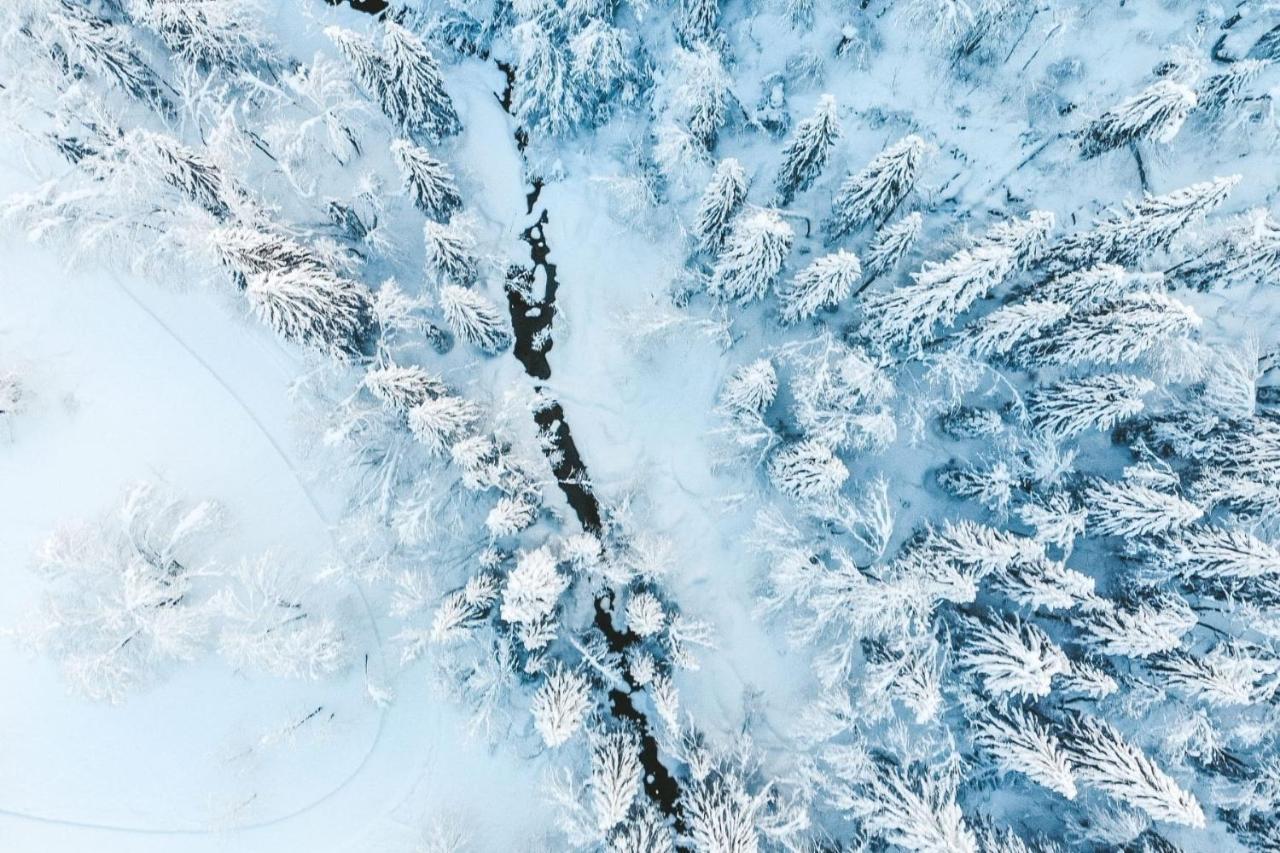 Residence Les Portes Du Soleil - Proprietes Mont Amour 阿沃里亚兹 外观 照片